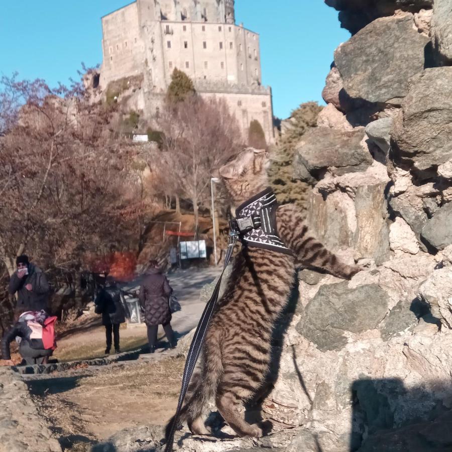 Casa Del Rustico, Indipendente Vista Sacra Con Dipinto Βίλα Caprie Εξωτερικό φωτογραφία